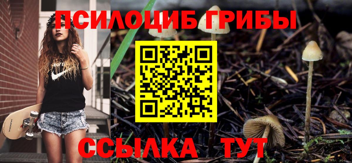 Галлюциногенные грибы Cubensis  Вход с VPN  Борисоглебск  Псилоцибиновые грибы Psilocybe 